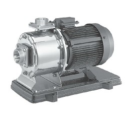 ebara_mdpa_mono.jpg(13314 byte)