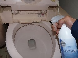 eva-sui_toire.jpg(41288 byte)