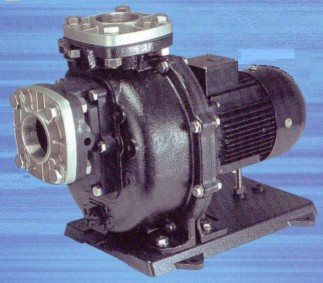 sanso_pspz_1.jpg(31090 byte)